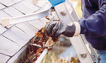 Gutter Cleaning in Raleigh NC Gutter Cleaning Services in Raleigh NC Cheap Gutter Cleaning in Raleigh NC Cheap Gutter Services in Raleigh NC Quality Gutter Cleaning in Raleigh NC Gutter Cleaning in NC Raleigh Gutter Cleaning Services in Raleigh NC Gutter Cleaning Services in NC Raleigh Gutter Cleaning in NC Raleigh Clean the gutters in Raleigh NC Clean gutters in NC Raleigh Gutter cleaners in Raleigh NC Gutter cleaners in NC Raleigh Gutter cleaner in Raleigh NC Gutter cleaner in NC Raleigh Affordable Gutter Cleaning in Raleigh NC Cheap Gutter Cleaning in Raleigh NC Affordable Gutter Services in Raleigh NC